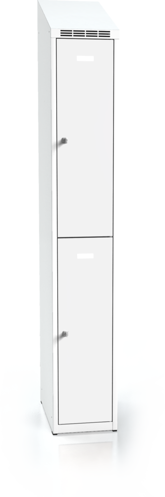  Divided cloakroom locker ALSIN with sloping top 1995 x 300 x 500